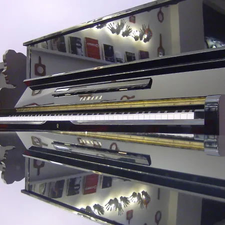 뒤 트라이앵글 도르 파리